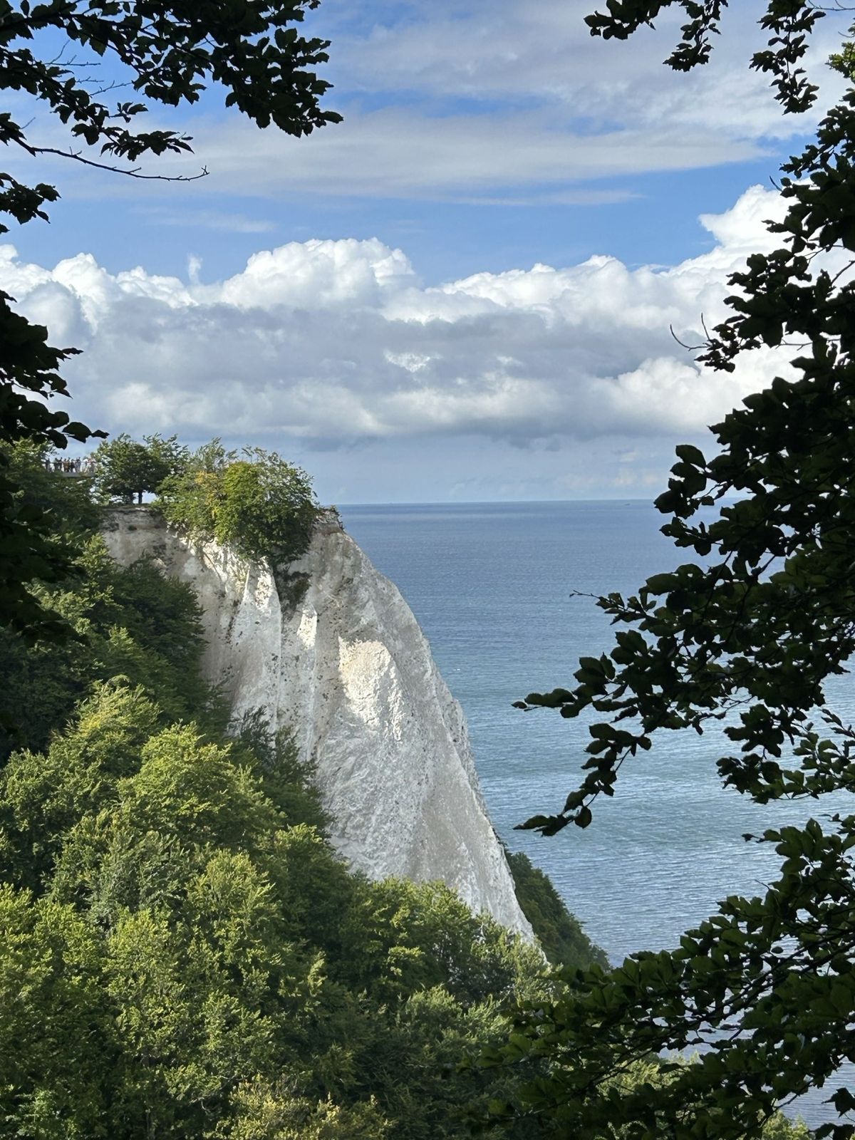 Kreidefelsen Königsstuhl im Nationalpark Jasmund